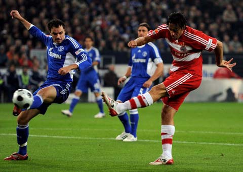 扬这种优势 扬这种优势